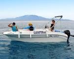 self drive boat rentals tsilivi zakynthos